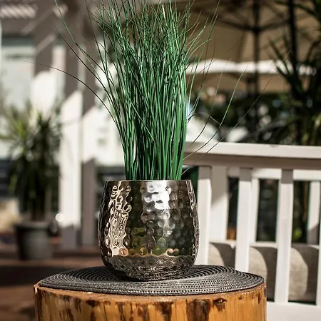 The Mint - Saint Отель Свети-Влас