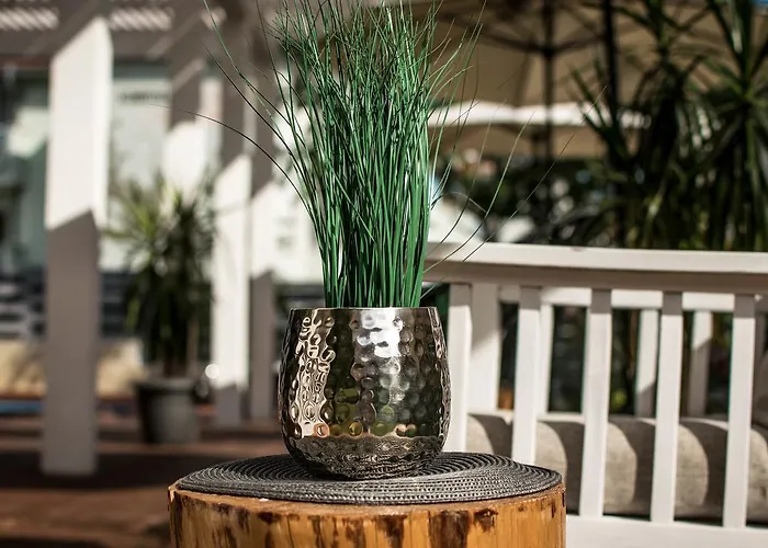 The Mint - Saint Хотел Свети Влас